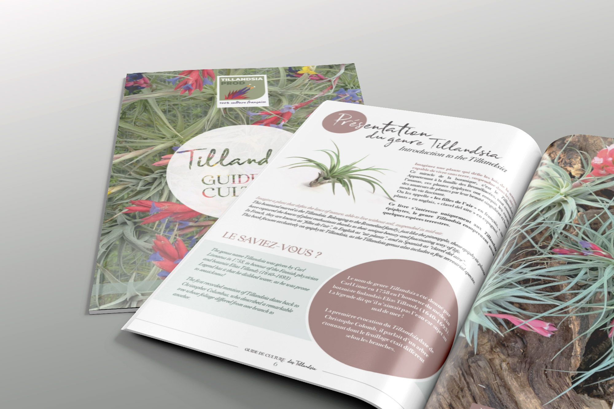 Magazines-Mockup-Opened-And-Closed-Poster