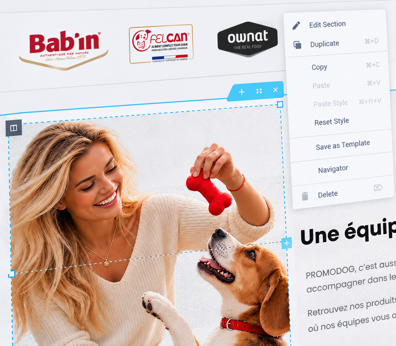 Éditeur-web-avec-femme-et-chien